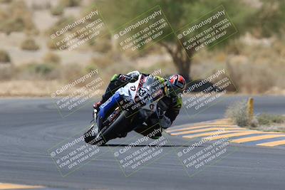 media/May-14-2023-SoCal Trackdays (Sun) [[024eb53b40]]/Turn 5 Tree of Life (1125am)/